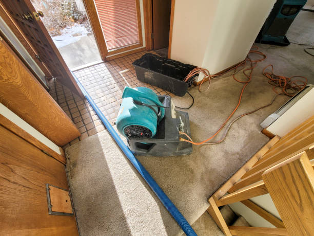 Best Flood damage cleanup  in Maytown, PA
