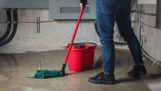 Best Mold removal after water damage  in Maytown, PA