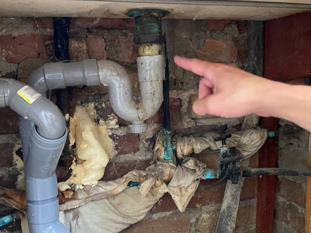 Best Mold removal after water damage  in Maytown, PA