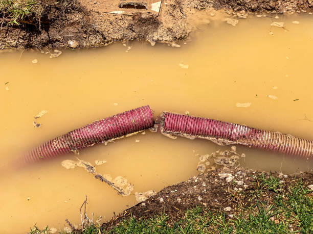 Best Basement water damage restoration  in Maytown, PA