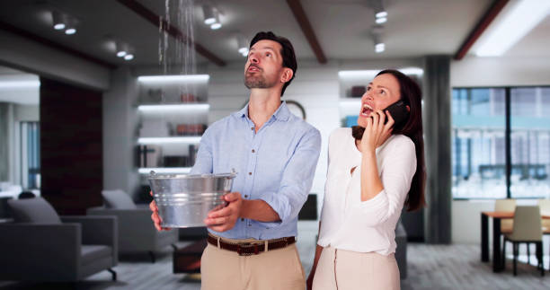 Best Water damage cleanup near me  in Maytown, PA